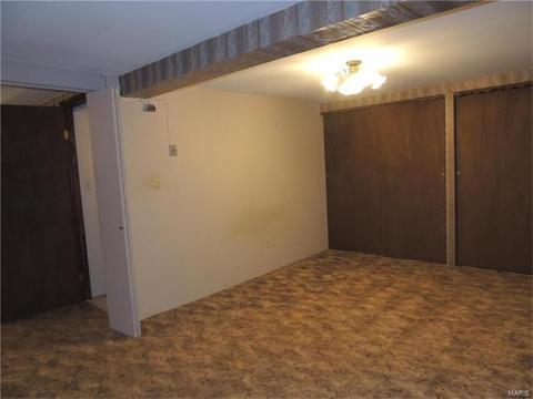 308 Fox Village Ct, Ballwin, MO 63021 photo 19