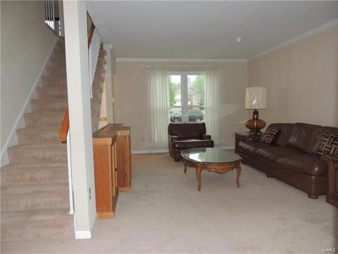 308 Fox Village Ct, Ballwin, MO 63021 photo 9