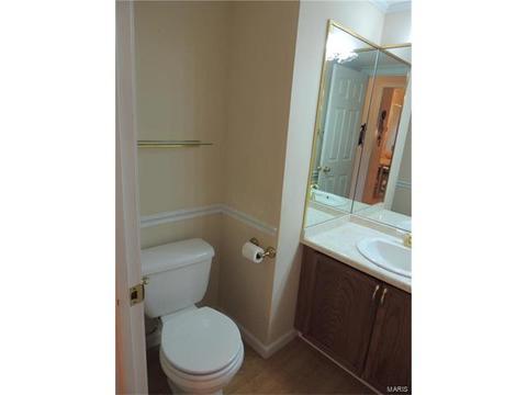 308 Fox Village Ct, Ballwin, MO 63021 photo 4