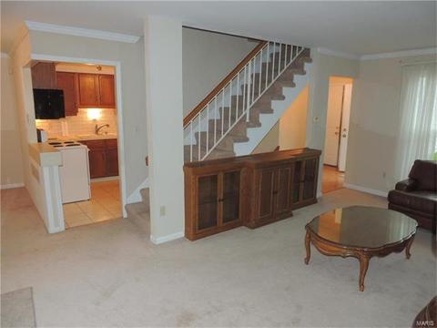 308 Fox Village Ct, Ballwin, MO 63021 photo 8
