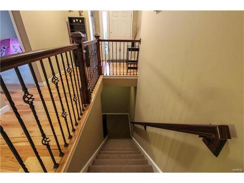 2 Eagle Cove Ln, Saint Charles, MO 63303 photo 24
