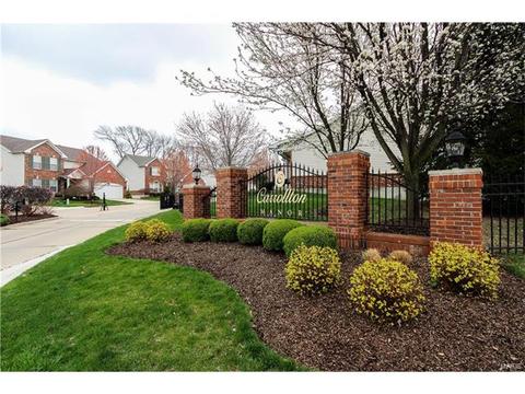 2 Eagle Cove Ln, Saint Charles, MO 63303 photo 40