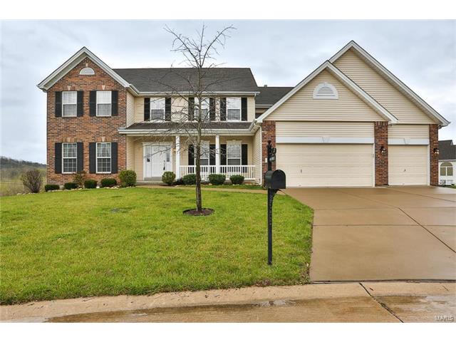 41 Fall Flower Ct, Eureka, MO 63025 photo 1