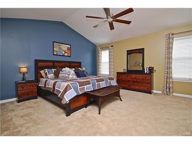233 Spring Borough Dr, O'fallon, MO 63368 photo 16