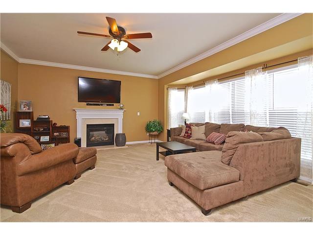 233 Spring Borough Dr, O'fallon, MO 63368 photo 5