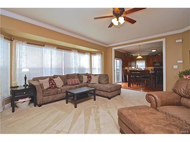 233 Spring Borough Dr, O'fallon, MO 63368 photo 6
