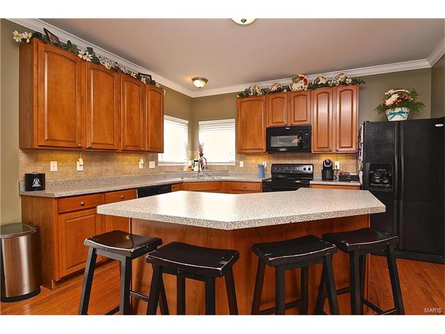 233 Spring Borough Dr, O'fallon, MO 63368 photo 11