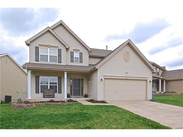 233 Spring Borough Dr, O'fallon, MO 63368 photo 23