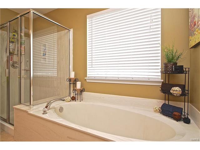 233 Spring Borough Dr, O'fallon, MO 63368 photo 18