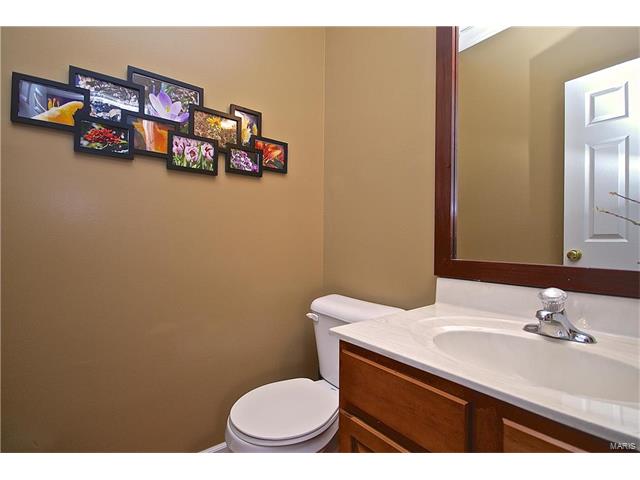 233 Spring Borough Dr, O'fallon, MO 63368 photo 13