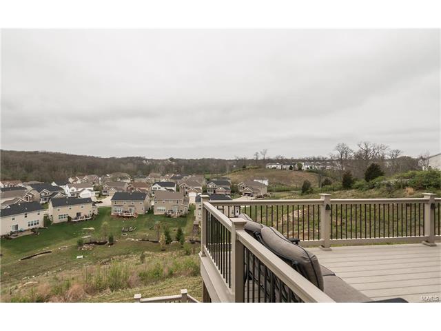 1271 Arbor Summit Dr, Ballwin, MO 63021 photo 44