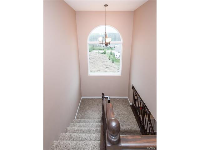 1271 Arbor Summit Dr, Ballwin, MO 63021 photo 28