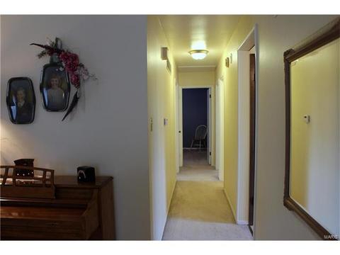 342 Brightfield, Ballwin, MO 63021 photo 19