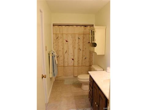 342 Brightfield, Ballwin, MO 63021 photo 40