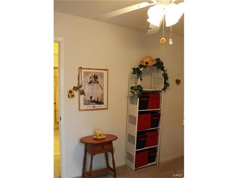 342 Brightfield, Ballwin, MO 63021 photo 43