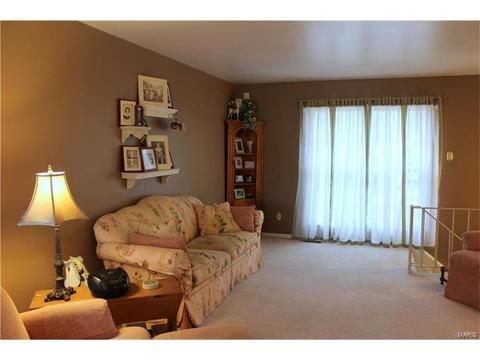 342 Brightfield, Ballwin, MO 63021 photo 16
