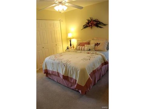 342 Brightfield, Ballwin, MO 63021 photo 33