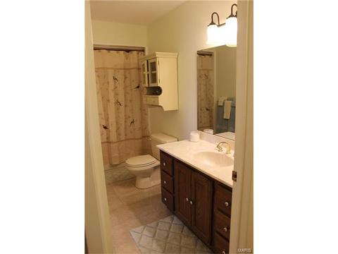 342 Brightfield, Ballwin, MO 63021 photo 39