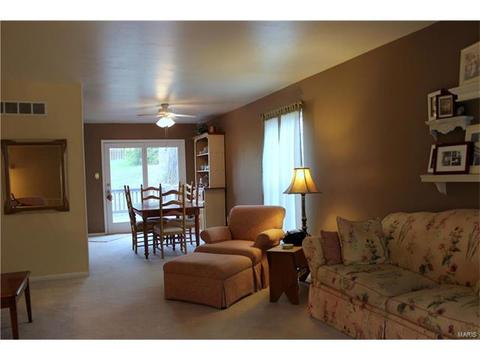 342 Brightfield, Ballwin, MO 63021 photo 15