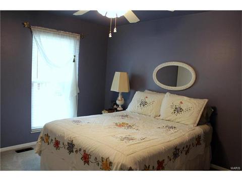 342 Brightfield, Ballwin, MO 63021 photo 44