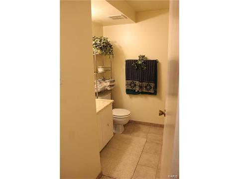 342 Brightfield, Ballwin, MO 63021 photo 23