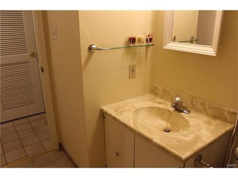 342 Brightfield, Ballwin, MO 63021 photo 25