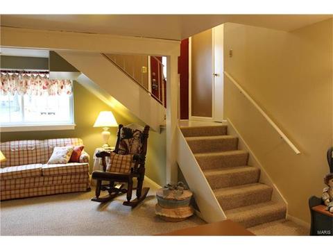 342 Brightfield, Ballwin, MO 63021 photo 50