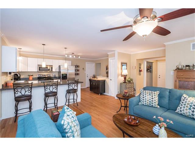 7 Amitie Ln, Ballwin, MO 63011 photo 12