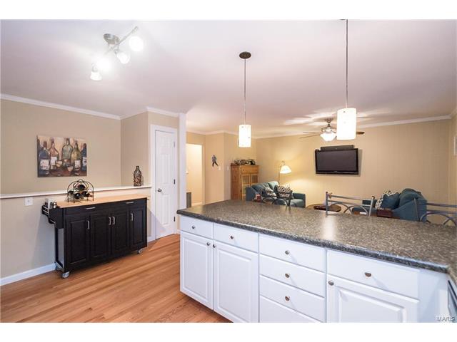 7 Amitie Ln, Ballwin, MO 63011 photo 18