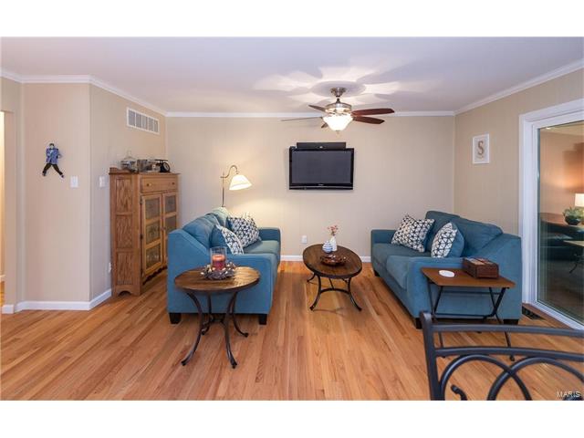 7 Amitie Ln, Ballwin, MO 63011 photo 11