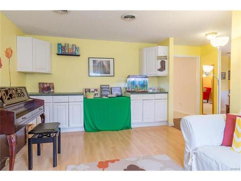 427 Brass Lamp Dr, Ballwin, MO 63011 photo 21