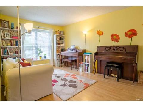 427 Brass Lamp Dr, Ballwin, MO 63011 photo 20