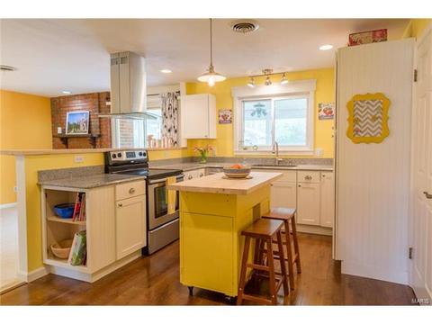 427 Brass Lamp Dr, Ballwin, MO 63011 photo 13