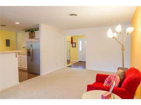 427 Brass Lamp Dr, Ballwin, MO 63011 photo 12