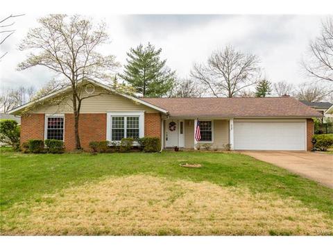 427 Brass Lamp Dr, Ballwin, MO 63011 photo 40