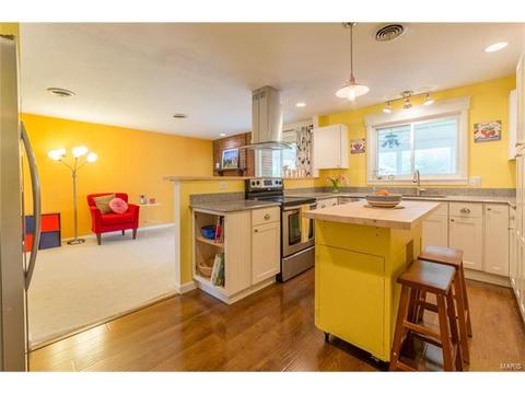 427 Brass Lamp Dr, Ballwin, MO 63011 photo 19