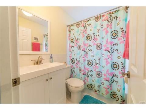 427 Brass Lamp Dr, Ballwin, MO 63011 photo 30