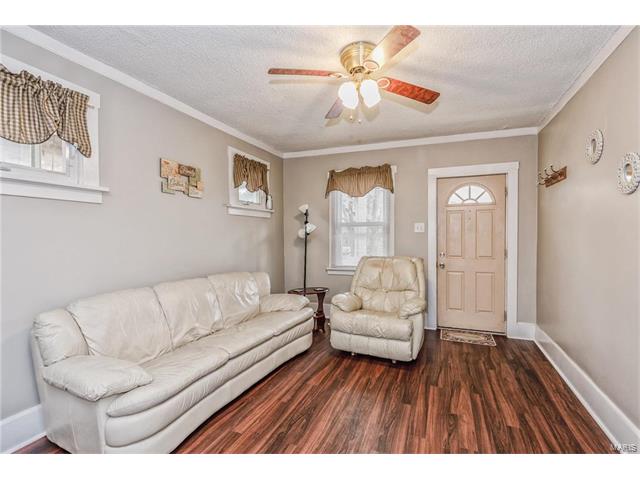 217 E Holden Ave, Saint Louis, MO 63125 photo 12