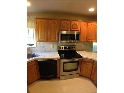 1 Timberstone Ct, Ballwin, MO 63021 photo 29