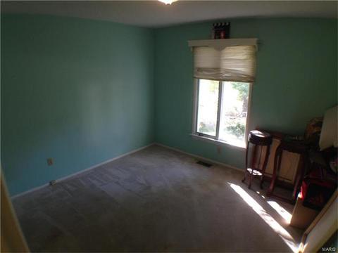1 Timberstone Ct, Ballwin, MO 63021 photo 17