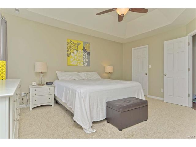 326 Wild Oak Dr, O'fallon, MO 63368 photo 17
