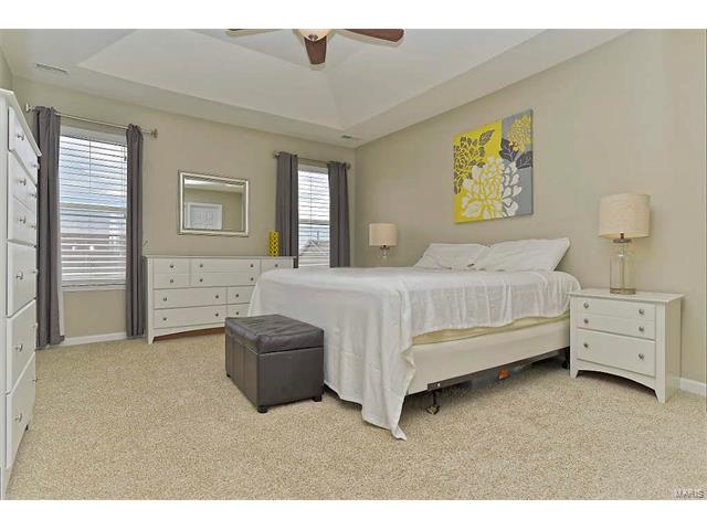 326 Wild Oak Dr, O'fallon, MO 63368 photo 15