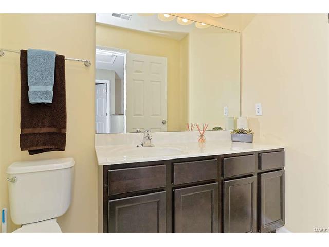 326 Wild Oak Dr, O'fallon, MO 63368 photo 20