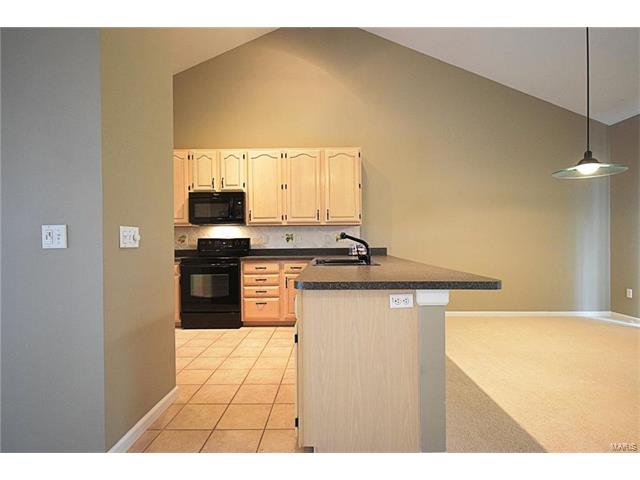816 Hanna Ct, Ballwin, MO 63021 photo 13