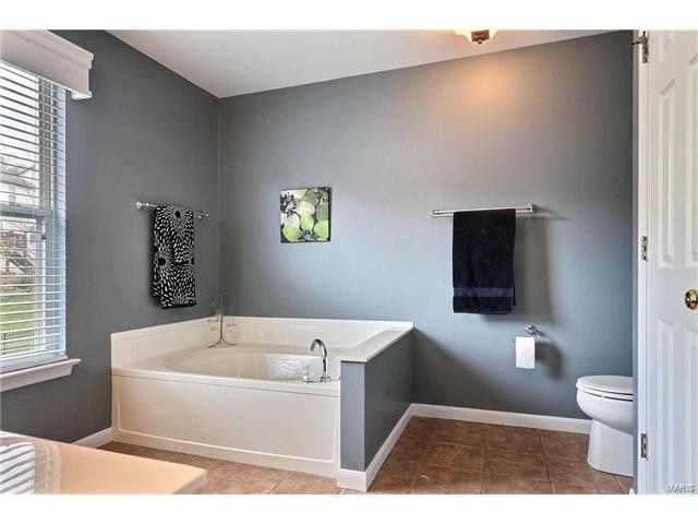 391 Buckhurst Dr, Ballwin, MO 63021 photo 21