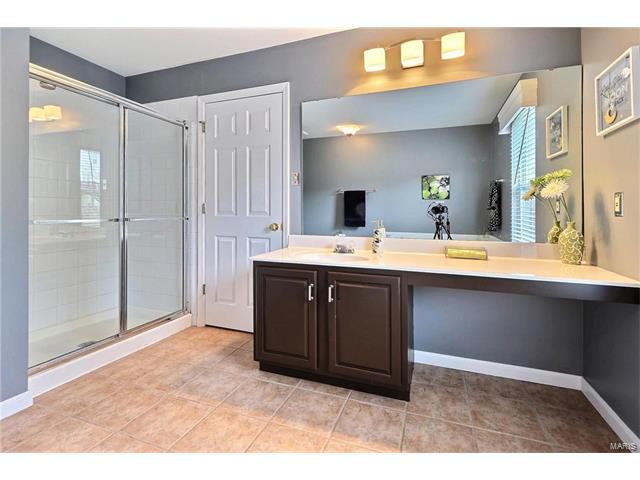 391 Buckhurst Dr, Ballwin, MO 63021 photo 20