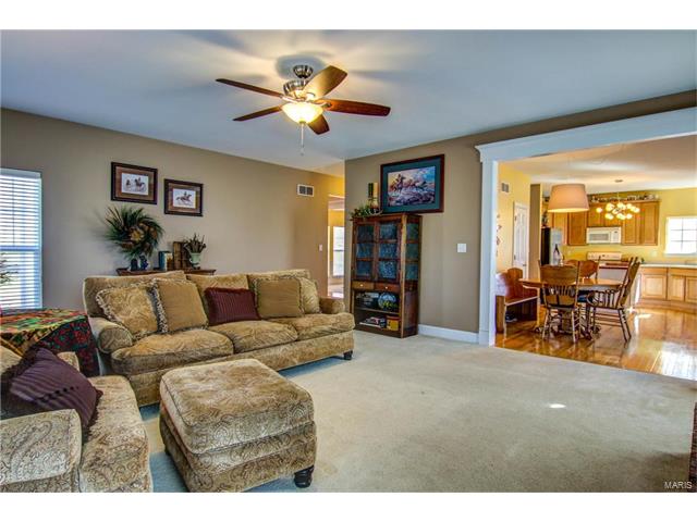780 Thunder Hl, O'fallon, MO 63368 photo 14