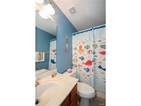 3 Eliot Ct, O'fallon, MO 63366 photo 22