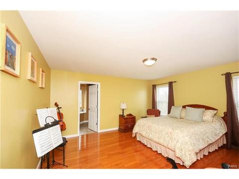 3 Eliot Ct, O'fallon, MO 63366 photo 18