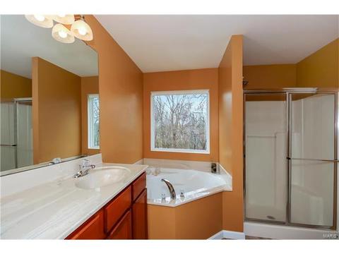 3 Eliot Ct, O'fallon, MO 63366 photo 19
